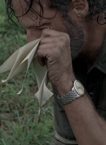 twd0810-2142.jpg