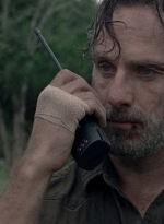 twd0810-2176.jpg