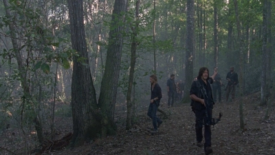 twd0811-1080.jpg