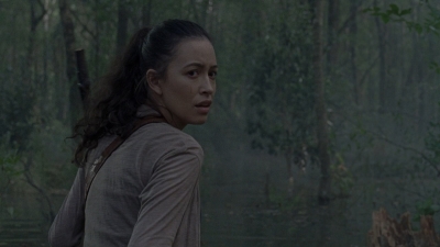 twd0811-1256.jpg