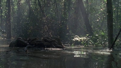 twd0811-1275.jpg