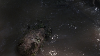 twd0811-1285.jpg