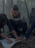 twd0811-0804.jpg