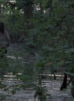 twd0811-1268.jpg