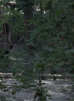 twd0811-1269.jpg