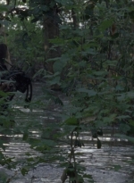twd0811-1270.jpg