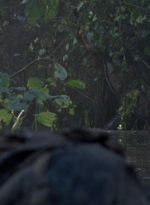 twd0811-1297.jpg