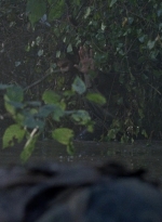 twd0811-1298.jpg