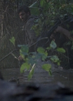 twd0811-1301.jpg