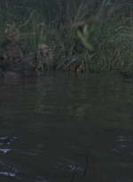twd0811-1303.jpg