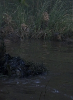 twd0811-1304.jpg