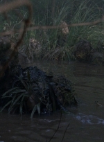 twd0811-1305.jpg