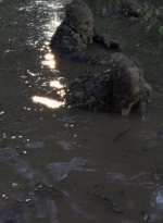 twd0811-1309.jpg