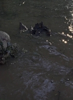 twd0811-1310.jpg