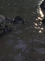twd0811-1312.jpg