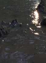 twd0811-1313.jpg