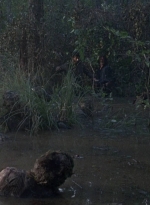 twd0811-1314.jpg