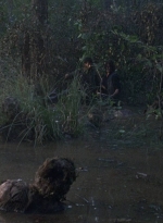 twd0811-1316.jpg