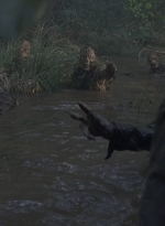 twd0811-1318.jpg