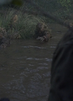 twd0811-1320.jpg