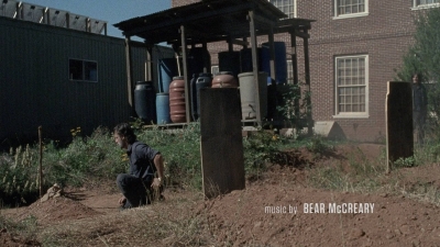 twd0812-0395.jpg