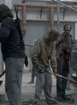 twd0812-0155.jpg