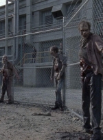 twd0812-0290.jpg