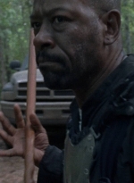 twd0813-0037.jpg