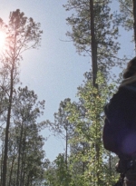 twd0814-1375.jpg