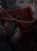 twd0814-1761.jpg