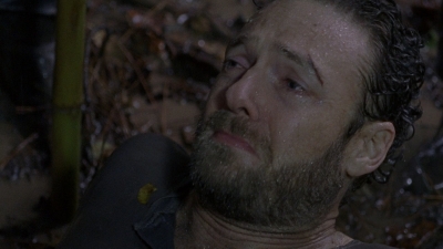 twd0815-1996.jpg