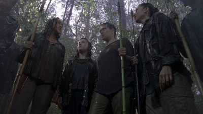 twd0815-2004.jpg