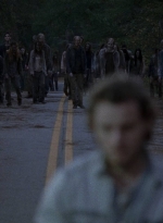 twd0816-0126.jpg