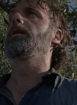 twd0816-1747.jpg