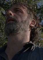 twd0816-1749.jpg