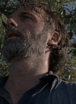 twd0816-1750.jpg