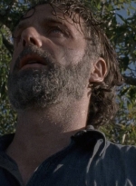 twd0816-1751.jpg