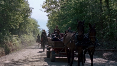 twd0901-1196.jpg