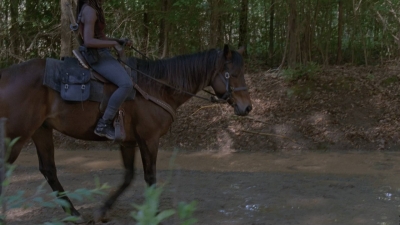 twd0901-1358.jpg