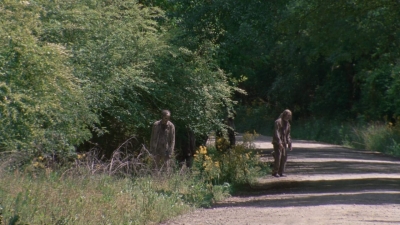 twd0901-1409.jpg