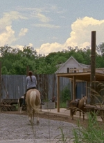 twd0901-0007.jpg