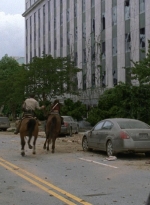 twd0901-0288.jpg