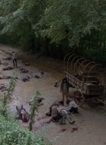 twd0901-1462.jpg