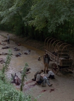 twd0901-1464.jpg