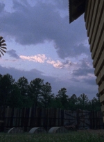 twd0901-1596.jpg