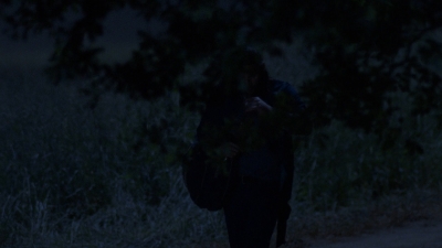 twd0902-2540.jpg