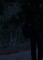 twd0902-2537.jpg
