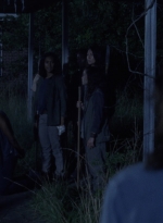 twd0903-2370.jpg