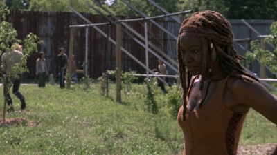 twd0904-0146.jpg