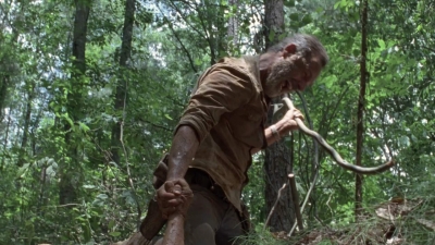 twd0904-2064.jpg